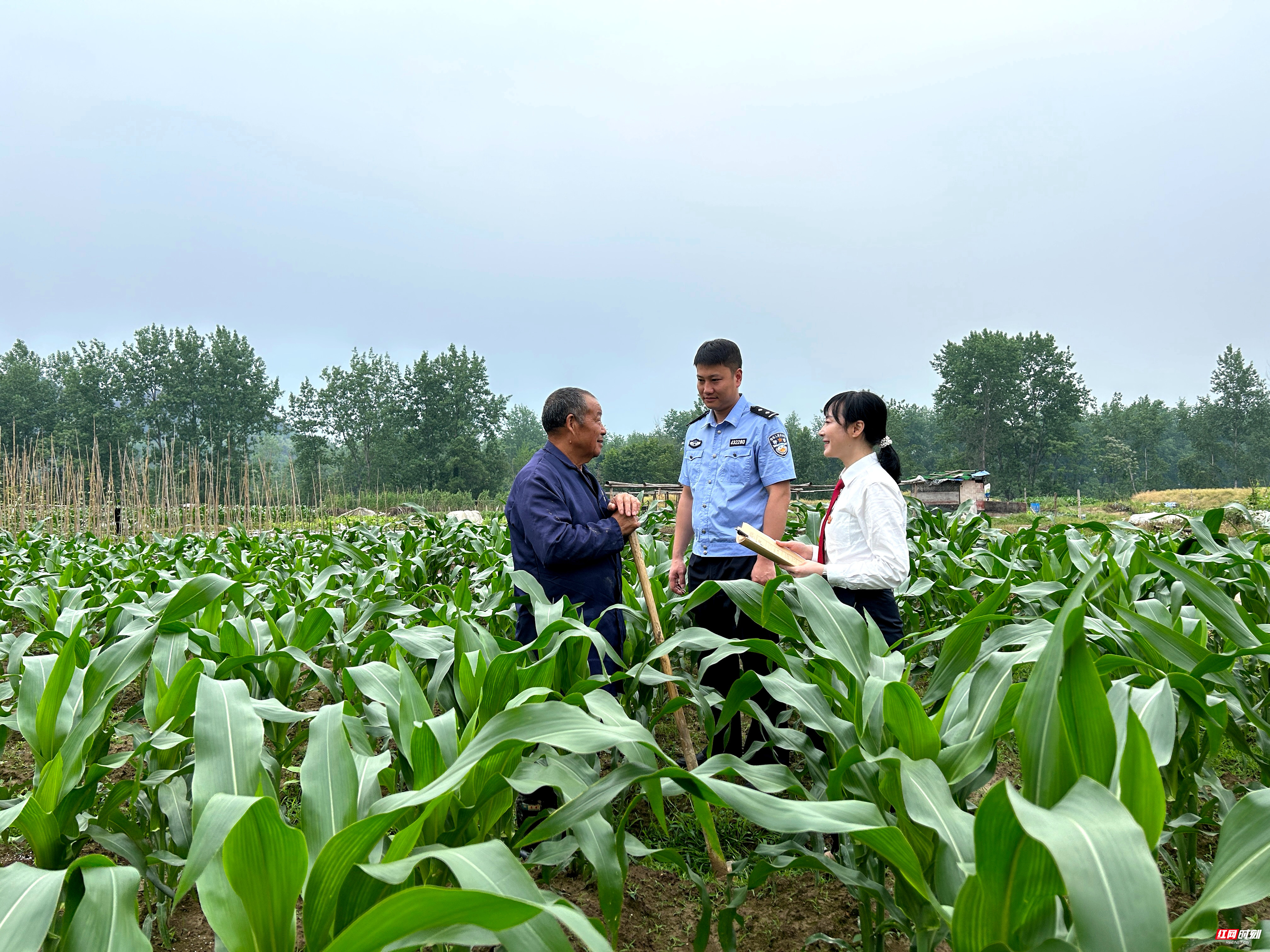开云体育官网-包含正较取头法赔，国此建阻败科的词条