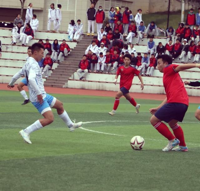 体育精神传承，精彩瞬间震撼现场的简单介绍