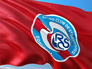 开云体育在线-帕尔梅拉斯防守体系调整，力求守住关键战局