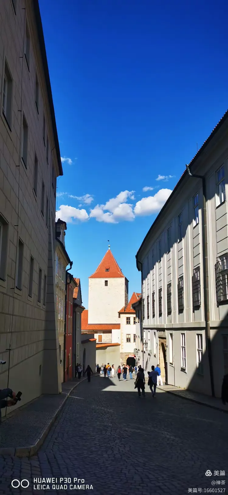 波兰队团结一心，奋力一战的简单介绍