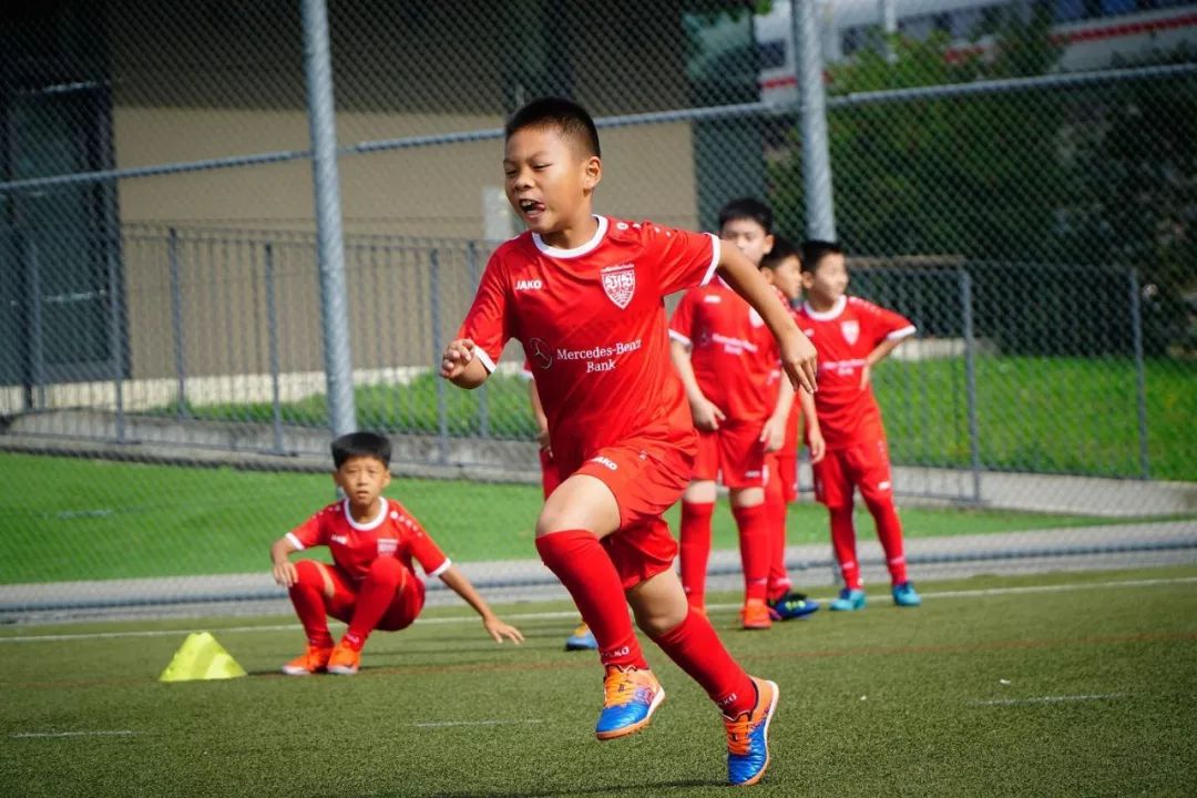 斯图加特教练组进行轮换，带来良好效果？的简单介绍