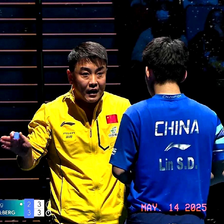 法国乒乓球队翻盘比利时乒乓球队,王皓送出助攻的简单介绍 法国乒乓球队翻盘比利时乒乓球队,王皓送出助攻的简单介绍